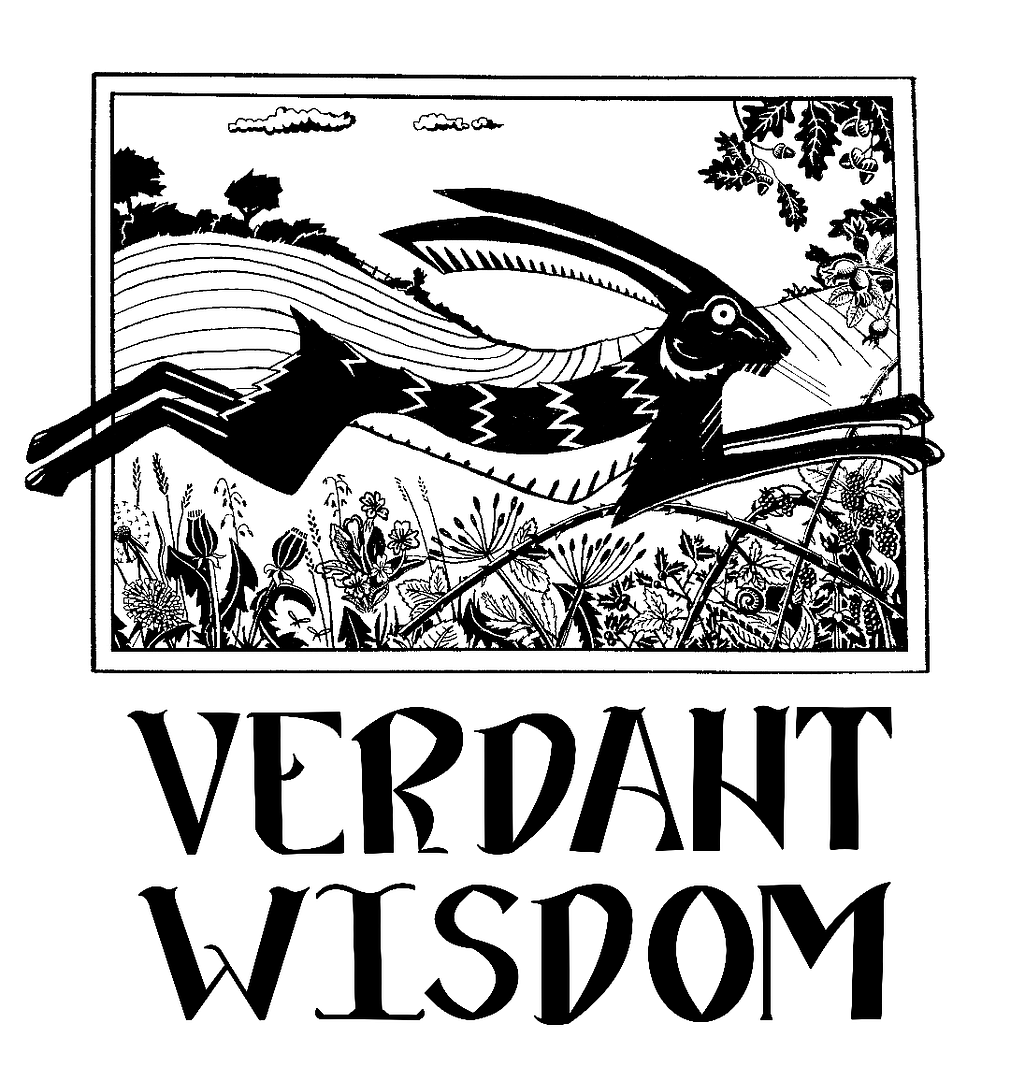 verdant_wisdom_t-shirt