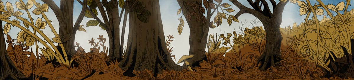 Sunny autumn forest illustration with brambles and beech trees